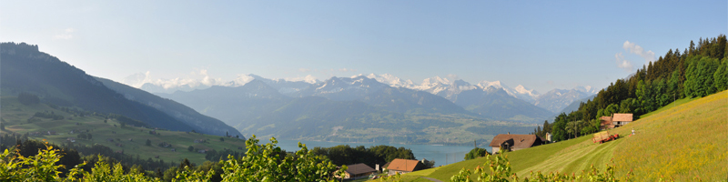 CGB_Header_2.jpg